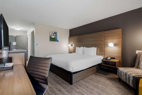 Best Western Corpus Christi Airport Hotel image 20