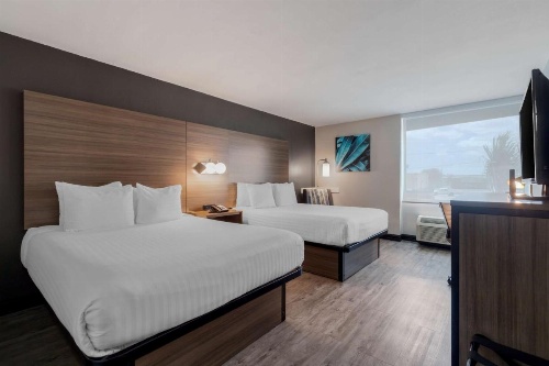 Best Western Corpus Christi Airport Hotel image 23