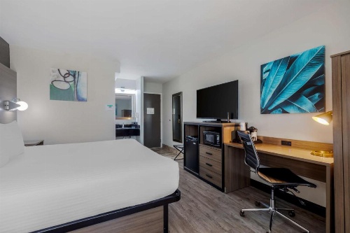 Best Western Corpus Christi Airport Hotel image 28