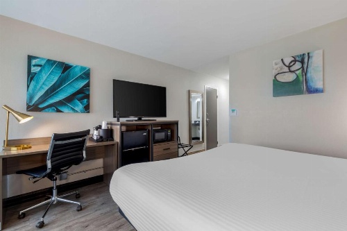 Best Western Corpus Christi Airport Hotel image 32