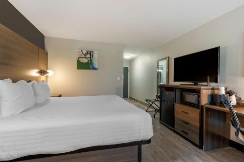 Best Western Corpus Christi Airport Hotel image 34